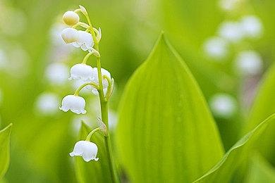 吸引《流放2》玩家？《暗黑破坏神4》又开启免费试玩